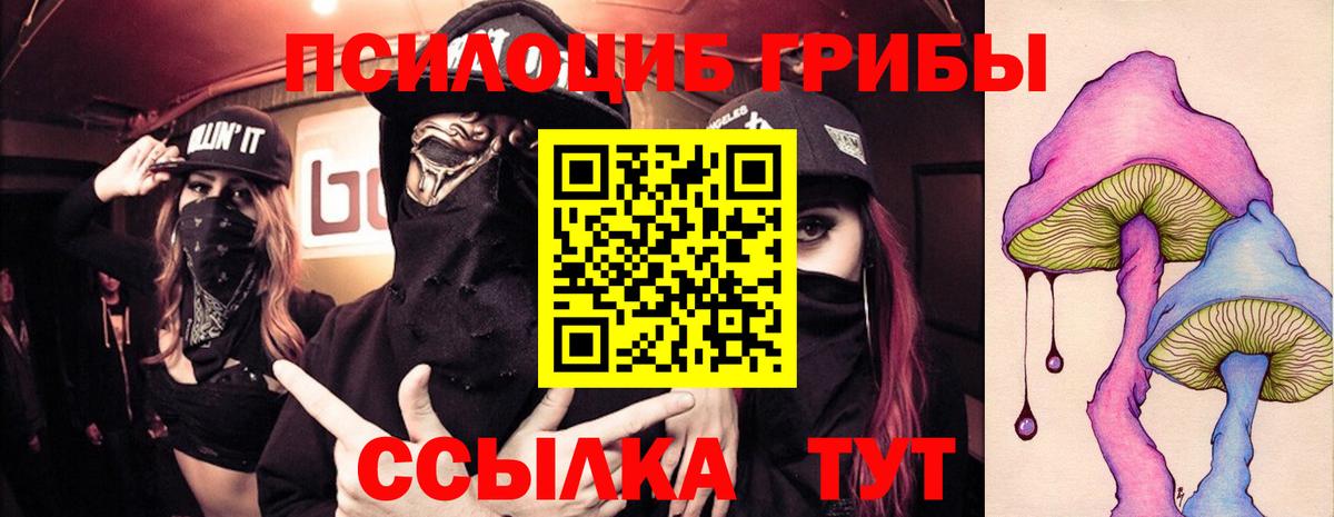 Галлюциногенные грибы Psilocybine cubensis Владикавказ