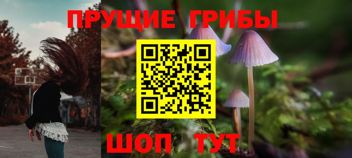 Псилоцибиновые грибы Magic Shrooms  Галлюциногенные грибы MAGIC MUSHROOMS  Вход с VPN  Владикавказ 